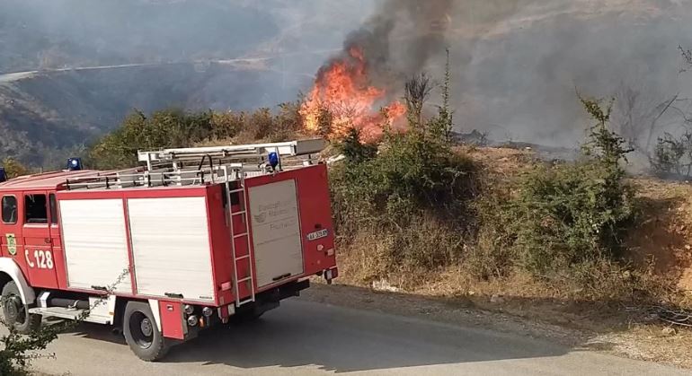 Digjet sipërfaqe toke me drurë frutorë dhe bimësi të egër në Gjirokastër