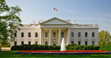 Rrëzimi i avionit ku udhëtonte Prigozhin, reagon Shtëpia e Bardhë