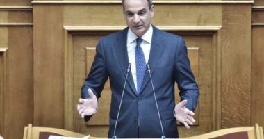 Zjarret në Evros/ Mitsotakis: Kanë nisur hetimet, zjarrvënia ka qenë e qëllimshme