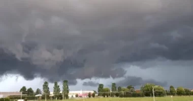 ​Kriza klimatike ndikon në rendimentet e fermerëve italianë