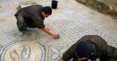 Ndizen polemikat në Izrael, mund të çrrënjoset mozaiku i lashtë i krishterë