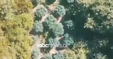 Kanabisi në repartin e Zall Herrit, jepet masa e sigurisë për 3 ushtarakët