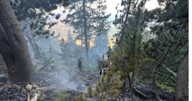 Gjallica digjet prej 9 ditësh/ Janë shkrumbuar 10 hektarë, ndërhyn helikopteri i ushtrisë