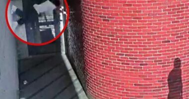 U arratis nga burgu duke ecur nëpër mure si gaforre, arrestohet pas dy javësh 34-vjeçari