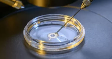 Embrion njerëzor me qeliza staminale/ Shkencëtarët: Në ngjizje nuk është përdorur spermë, vezë apo mitër