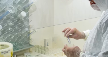 Ethet e Nilit Perëndimor, 69 raste në Serbi