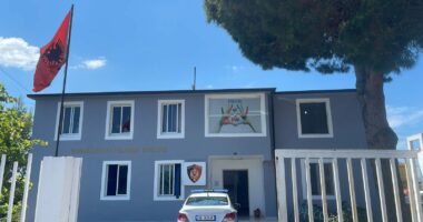 21-vjeçari në Divjakë godet me grushta dy fëmijë të mitur