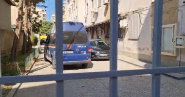 Operacioni “Tempulli”/ Në gjykatën e Fierit po vlerësohet masa e sigurisë për 4 të arrestuarit