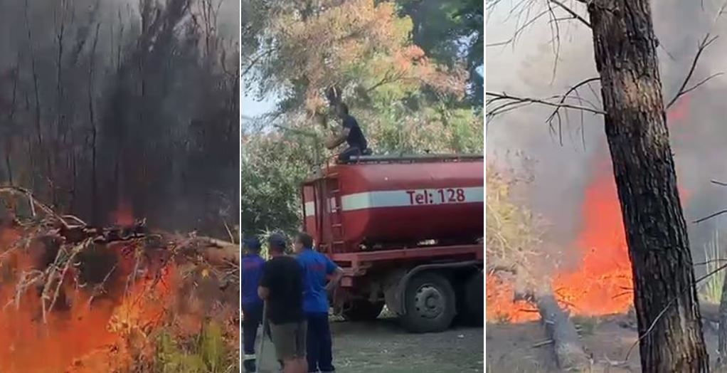 Vijon lufta me flakët në pyllin e Sodës, zjarri po rrezikon banesat pranë zonës