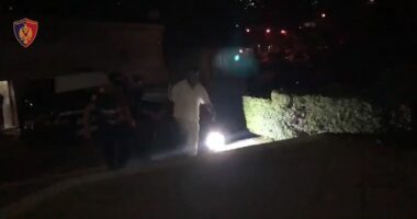 Tepelenë/ Konflikti mes barinjve përfundoi me një të plagosur, arrestohet 30-vjeçari