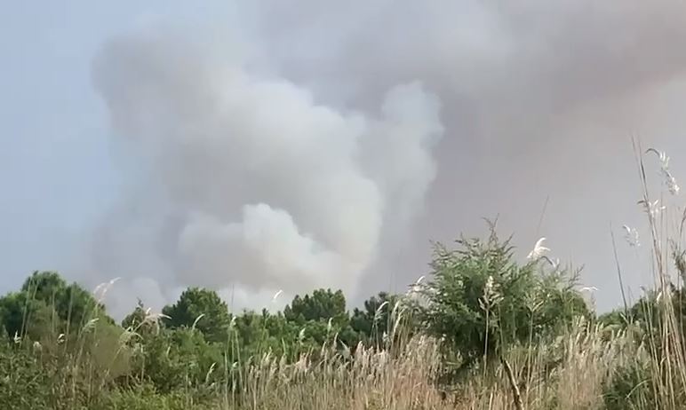 VIDEO/ Riaktivizohet vatra e zjarrit në Fier, kërkohet ndërhyrje nga ajri pasi rrezikohet zona e mbrojtur