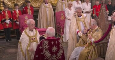 Sondazhi, çfarë mendon vërtet Britania për mbretërinë ?