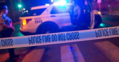 Ekzekutoi të gjithë familjen, 18 vjeçari dënohet me burgim të përjetshëm