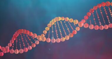 A e dini se varfëria dhe stresi ndikojnë te gjenet?