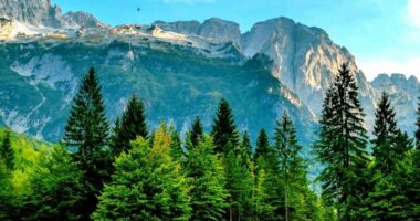 &ldquo;Xhevahiri ballkanik&rdquo;/ &lsquo;Financial Times&rsquo; artikull p&euml;r traditat, kultur&euml;n dhe gastronomin&euml; e Shqip&euml;ris&euml;