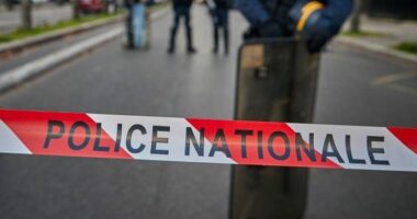 Francë, i mituri arrestohet për bullizëm në klasë