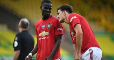 Klubet turke nuk kanë të ndalur, Besiktas “rrëmben” mbrojtëin e “djajve”