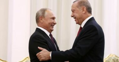 Takimi Erdogan-Putin në Soçi dhe marrëveshja e grurit