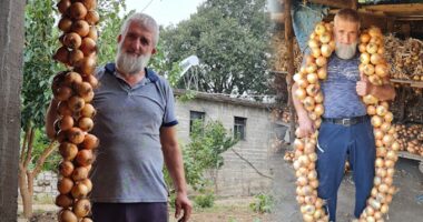 “Varg qepësh 10 metra të gjatë”, fermeri nga Shkodra sfidon veten pas vargut 4 metra