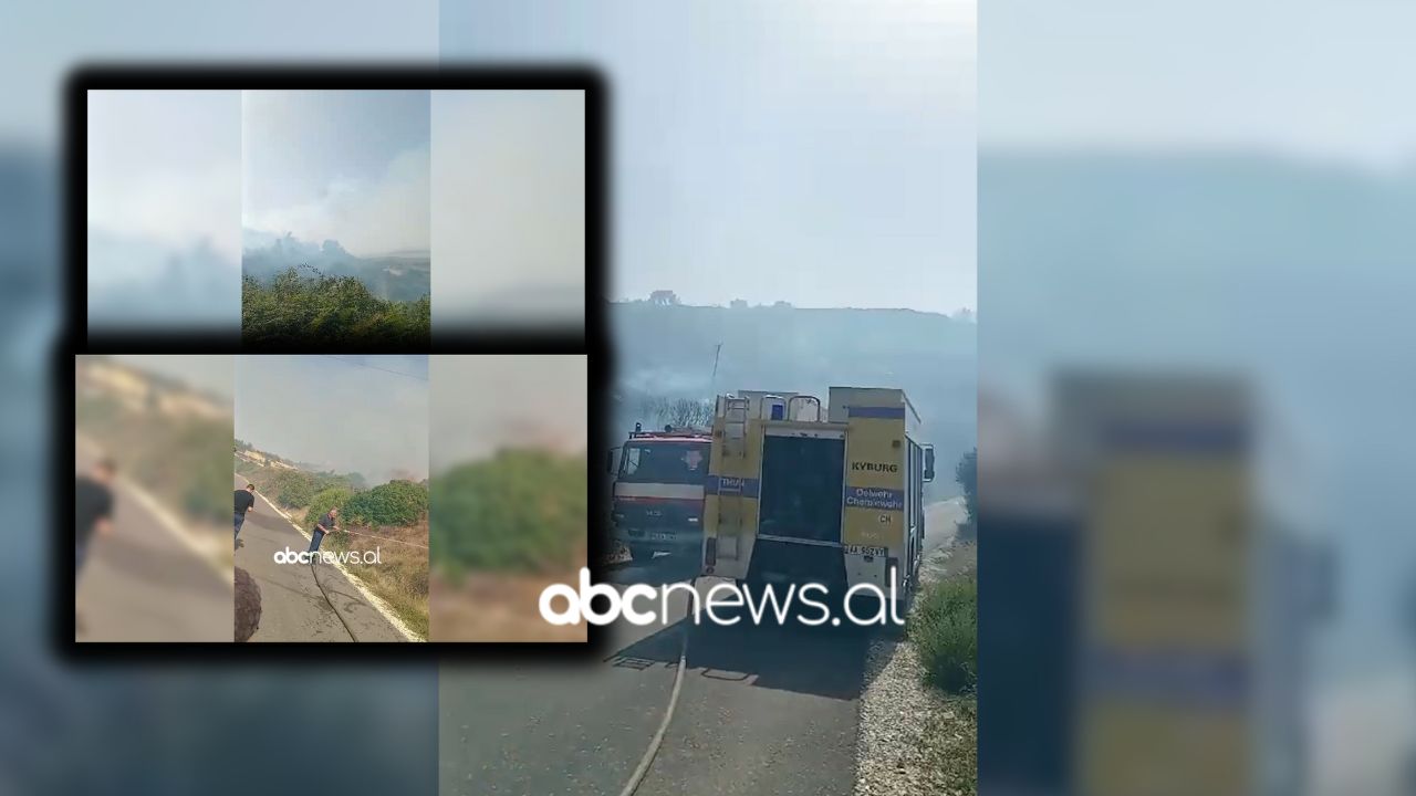 VIDEO/ Vatër zjarri në një fshat të Vlorës, dy forca zjarrfikëse në vendin e ngjarjes