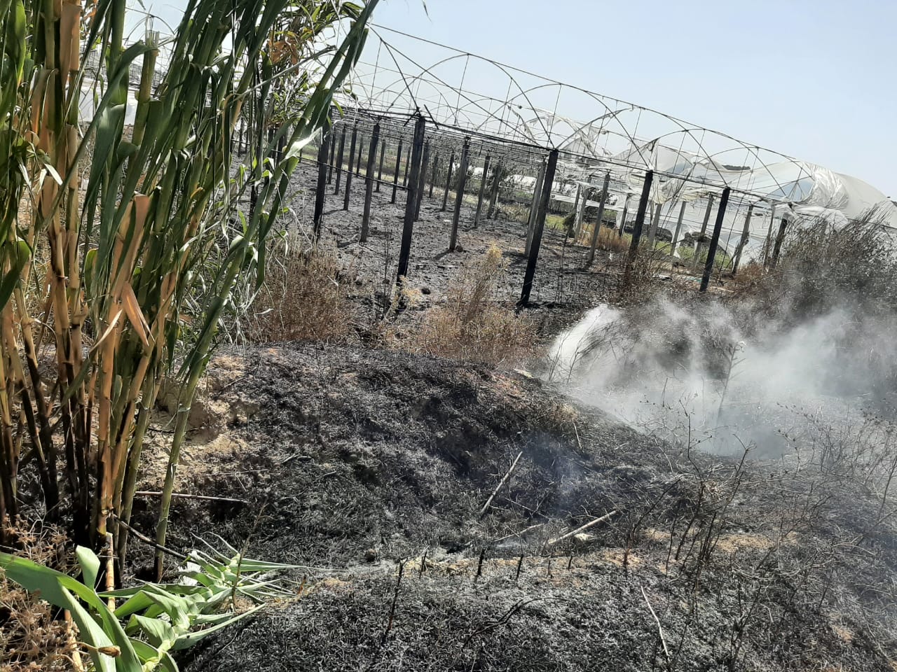 I vendosën zjarrin 4 fshatrave në Fier, policia identifikon autorët