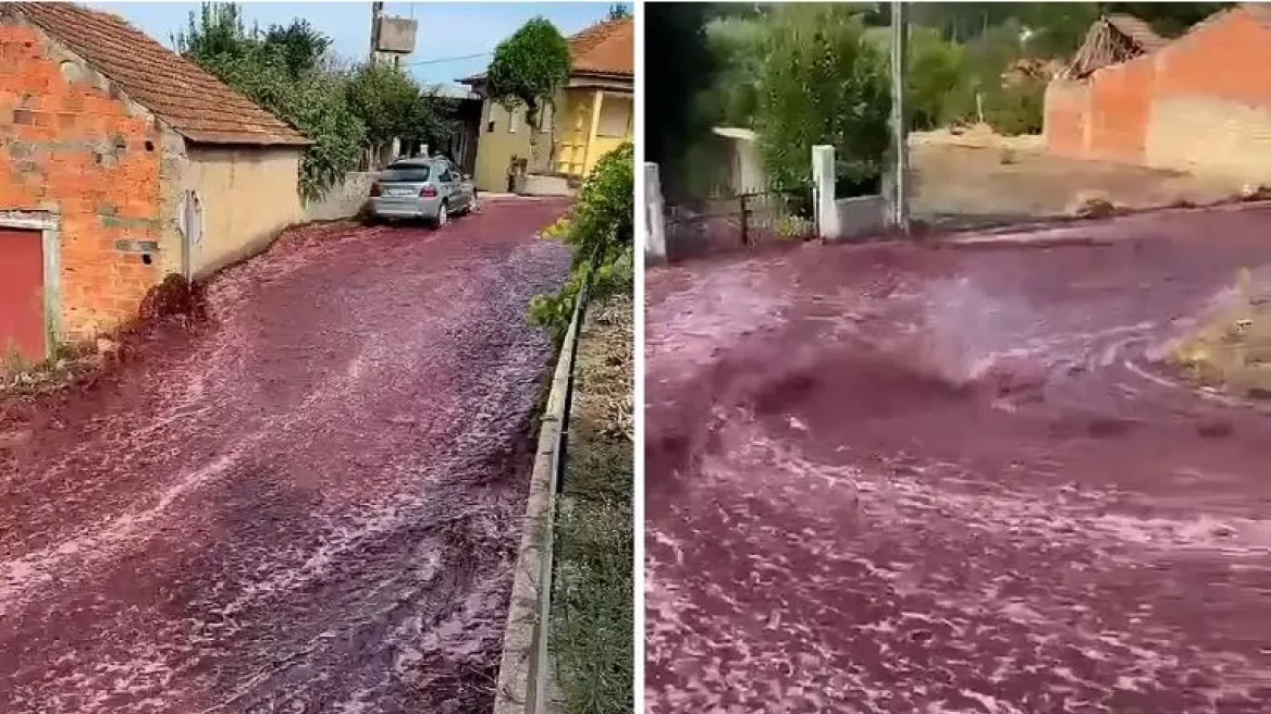 E pazakontë, qyteti portugez përmbytet… nga vera e kuqe