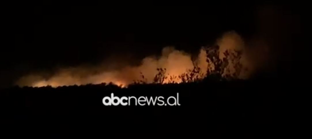 VIDEO/ Zjarr në Novoselë, digjet një sipërfaqe me shkurre dhe ullinj