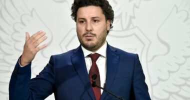 Abazoviç: Duam t’ia dorëzojmë pasaportën malazeze Novak Gjokoviçit