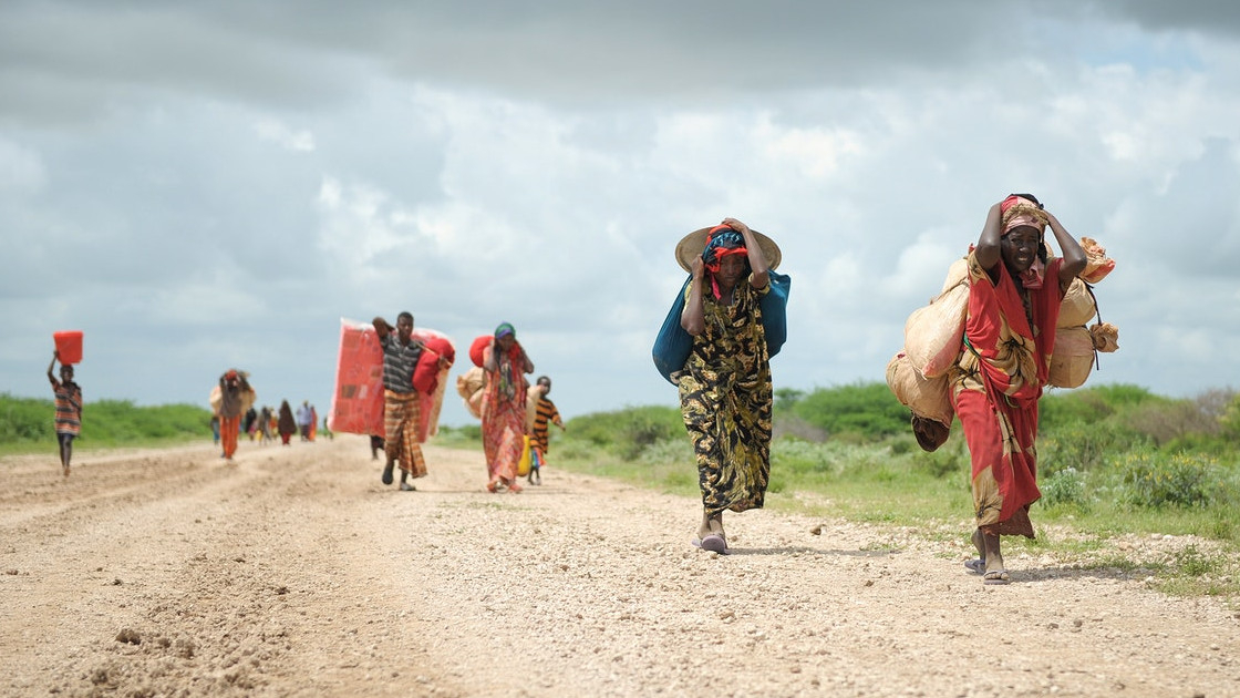 Afrikë/ Mbi 110 milionë njerëz të prekur nga kriza klimatike në një vit