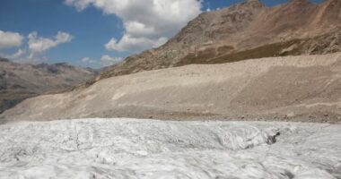 Akullnajat zvicerane humbin 10 për qind të masës brenda dy vjetëve