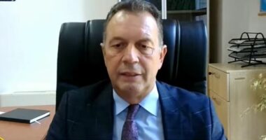 Berisha-Bardhi, opozita pa parti/ Biberaj: Bashkë me Bashën nuk i duhen PD-së