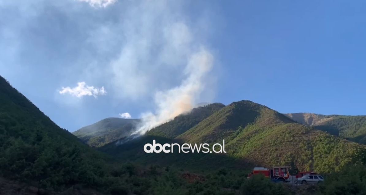 VIDEO/ Zjarri shkrumbon dhjetëra hektarë pyje dhe kullotë në Bulqizë
