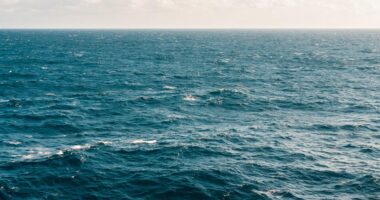 Një belg notoi 131 km, duke thyer rekordin botëror të notit në det të hapur