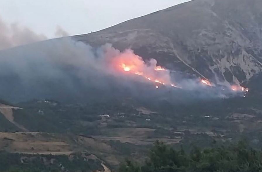 Zjarret në Tepelenë, një i arrestuar dhe dy të tjerë nën hetim