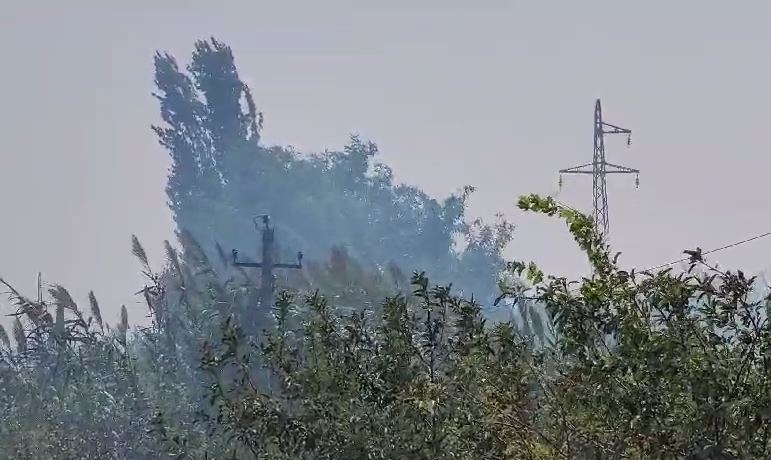 Tre vatra zjarri aktive në vende të ndryshme në Fier