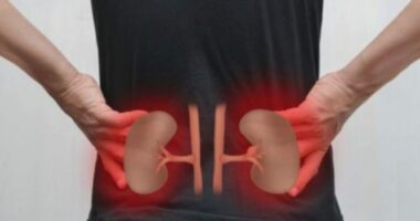 Pse duhet kafja për njerëzit që vuajnë nga veshkat?