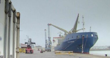 Tentoi të merrte 33 kg kokainë në port, dënohet me burg shqiptari në Holandë