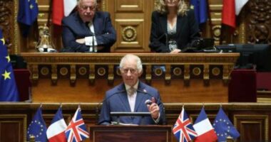Mbreti Charles mban fjalim historik në senatin francez, çfarë tha ai para ligjvënësve