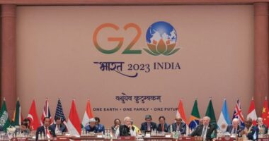 G20 nuk e dënon pushtimin e Rusisë