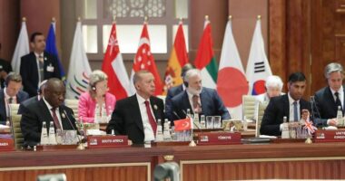 Erdogan u kërkon udhëheqësve të G20-s të plotësojnë kërkesat e Rusisë për marrëveshjen e grurit