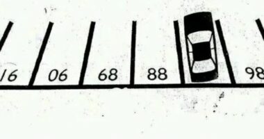 Kuiz/ A mund të gjeni se në cilin numër është parkuar makina?