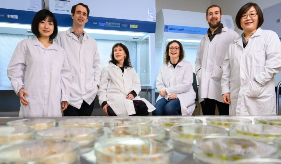 ‘Shija’ e së ardhmes/ Shkencëtarët në Zelandën e Re ‘rrisin’ indet e frutave në laborator