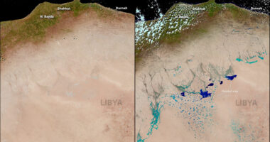 Stuhia Daniel krijon ‘liqene’ në Sahara