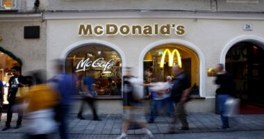 “Prindërit e varfër mund të ushqejnë fëmijët e tyre me McDonald’s”, deklarata e kancelarit austriak shkakton zemërim