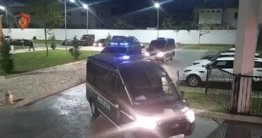 Operacion antidrogë në Shkodër, asgjësohen mbi 12 mijë bimë narkotike cannabis sativa