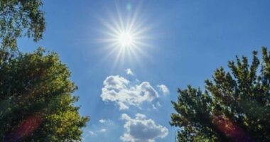 Parashikimi i motit, temperaturat deri në 20 gradë Celsius