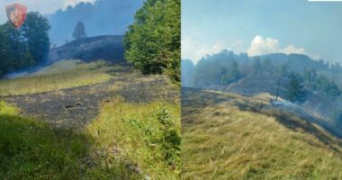 Ndezi zjarr dhe për pasojë u dogj një sipërfaqe e madhe me bimësi në Lurë, në kërkim autori