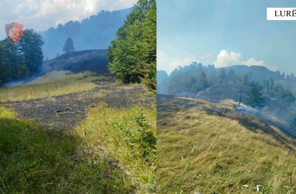 Ndezi zjarr dhe për pasojë u dogj një sipërfaqe e madhe me bimësi në Lurë, në kërkim autori