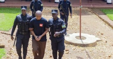 Vrau 14 gra dhe i groposi në kuzhinën e shtëpisë së tij, arrestohet vrasësi serial: Më ngjitën SIDA-n