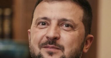 Zelensky: Nuk ka paqe nëse nuk marrim kontrollin e Krimesë